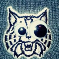 lerpercat1's avatar